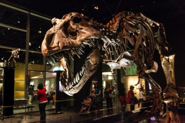 drumheller, Kanada Kraliyet tyrrell Müzesindeki dinazor sergiler
