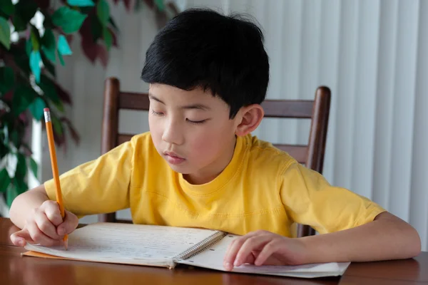 Lindo asiático chico haciendo tarea — Foto de Stock