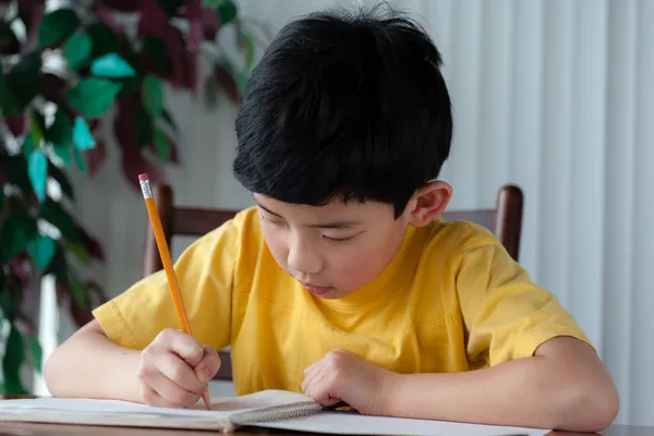 Lindo asiático chico haciendo tarea — Foto de Stock