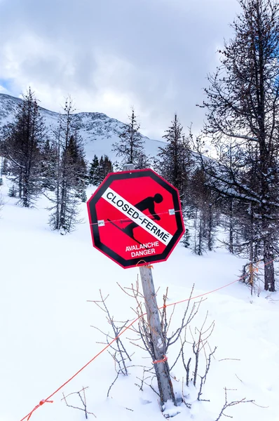 Avalanche Danger — Stock Photo, Image