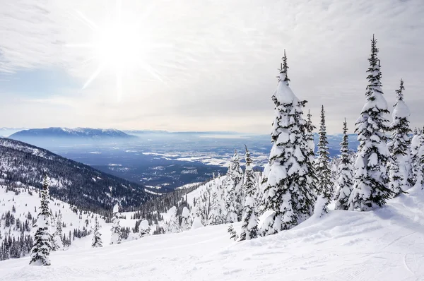 Paisaje de invierno en Big Mountain en Montana — Foto de Stock