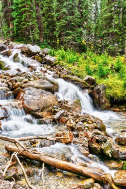 Yoho Ulusal Parkı 'nın Kanada Kayalıkları' ndaki O 'Hara Gölü' nün doğu Opabin Patikası boyunca akan şelale..