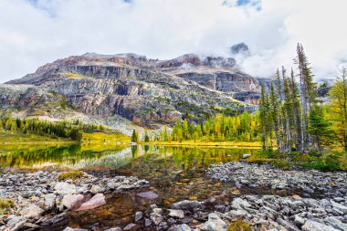Moor Lakes, Yoho Ulusal Parkı 'ndaki O' Hara Gölü 'ndeki Opabin Patikası' nda arkada Yukness Dağı var..