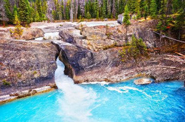Kicking at nehrin suları acele bu antik kaya Yoho Milli Parkı, British Columbia'da yapılacak doğal köprüsünde bir yol açmaktadır.