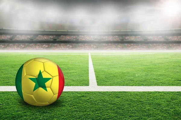 Futebol Estádio Livre Brilhantemente Iluminado Com Bandeira Pintada Senegal Concentre — Fotografia de Stock