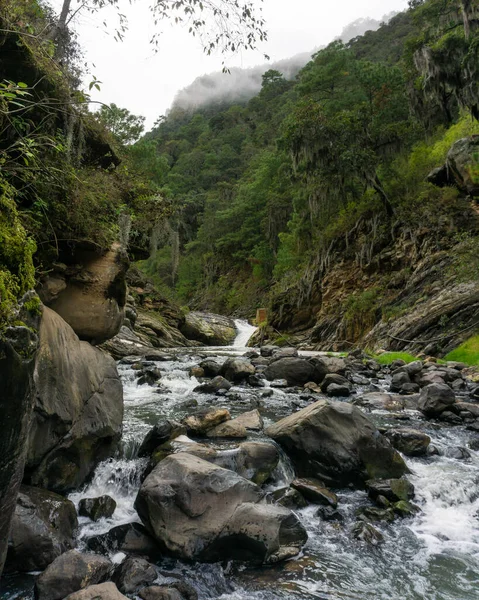 Río Junto Bosque Paisaje Rural Puebla México — Foto de Stock