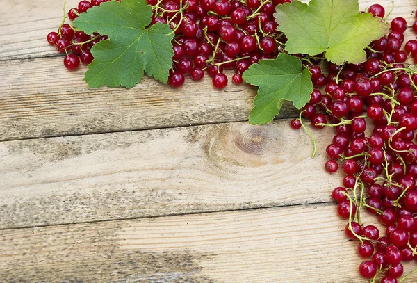 Currants on a dark wood background. toning. selective — Stock Photo, Image