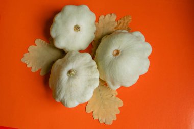 Kabak turuncu arka planda yatıyor. Beyaz balkabağı pattison sonbahar mevsiminde kuru meşe yapraklarıyla masada yatıyor.