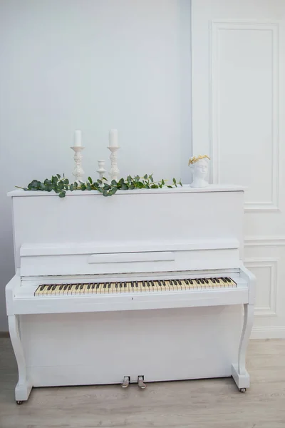 Piano Branco Com Vegetação Uma Sala Grande Brilhante Interior Branco — Fotografia de Stock