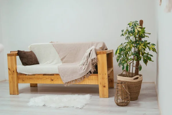 Skandinavisk Stil Träsoffa Med Rutig Och Kuddar Inomhus Växter Det — Stockfoto