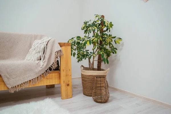 Sofá Madeira Estilo Escandinavo Com Xadrez Travesseiros Plantas Interiores Interior — Fotografia de Stock