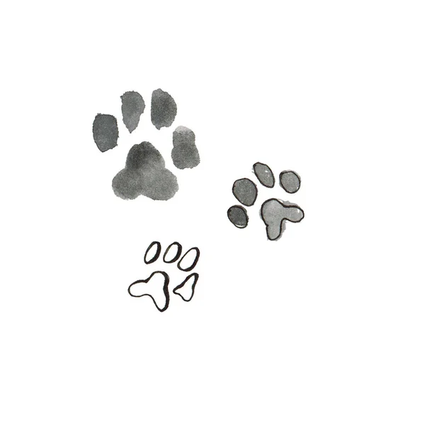 Desenho Aquarela Uma Pata Gato Animal Cão Contexto Branco Isolar — Fotografia de Stock