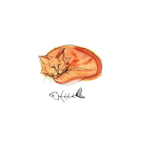 Акварельный Рисунок Милой Спящей Красной Кошки Рыбных Скелетов Белом Фоне — стоковое фото