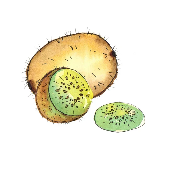 Aquarela Desenho Kiwi Frutas Fundo Branco Isolar — Fotografia de Stock