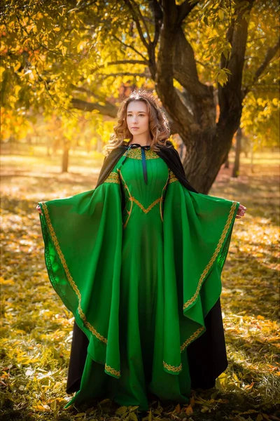 Ortaçağ Yeşil Elbisesi Içinde Altın Örgülü Güzel Bir Kız Sonbahar — Stok fotoğraf