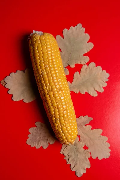 Herfst Oogst Gele Maïskolven Droge Bladeren — Stockfoto