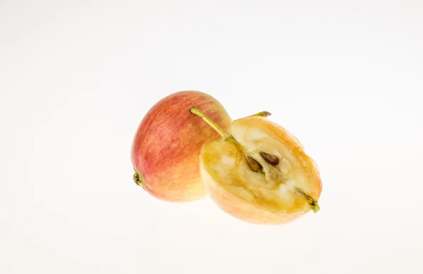 Rotten fruit – License Images – 550221 ❘ StockFood