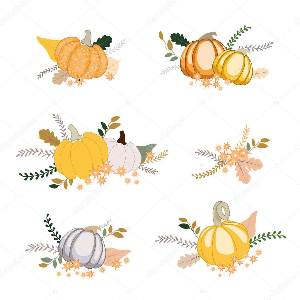 Set of various pumpkins with leaves and flowers