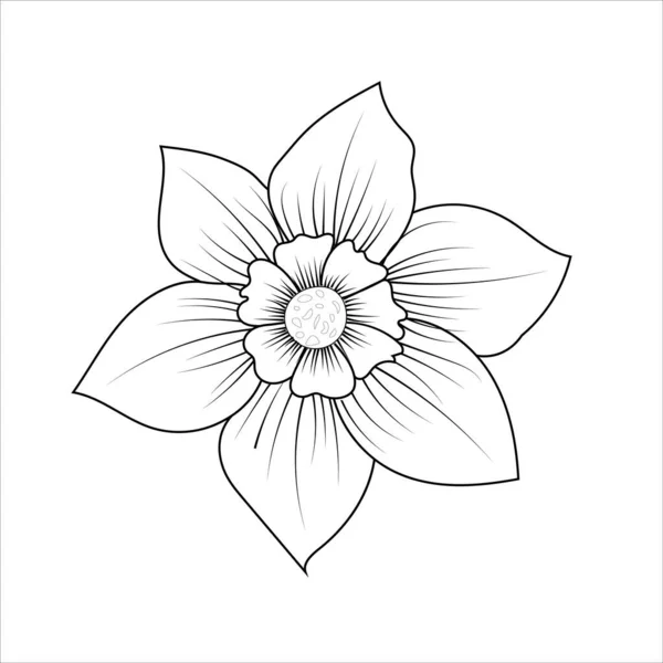 Jonquille Fleur Contour Illustration Vectorielle — Image vectorielle