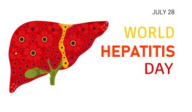 Dünya Hepatit Günü. Karaciğerli tıbbi pankart
