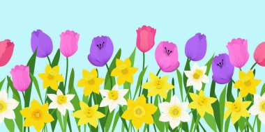 Lale ve narsislerin, nergislerin sınırı.