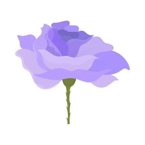 Purple Rose Isolated White Background — Stock Vector