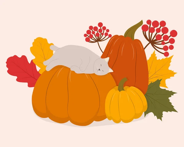 Cute Cartoon Cat Sleeping Pumpkin Fun Fall Harvest Theme Vector — Stock Vector