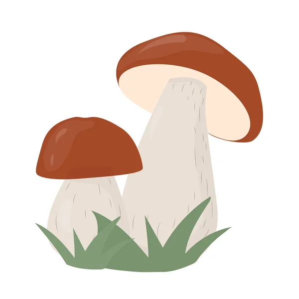 Brown Mushrooms Flat Illustration Vector Mushroom Forest — Stock vektor