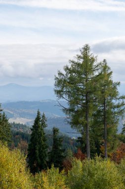 Karpatya dağlarında sonbahar manzarası bulutlu soğuk hava