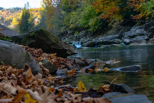 Feuilles Tombées Plan Rapproché Sur Fond Une Rivière Montagne — Photo