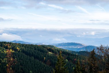 Çam ormanı ile dağ manzarası
