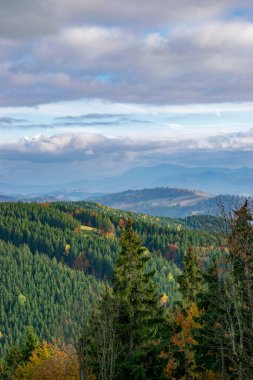 Karpatya dağlarında sonbahar manzarası bulutlu soğuk hava.