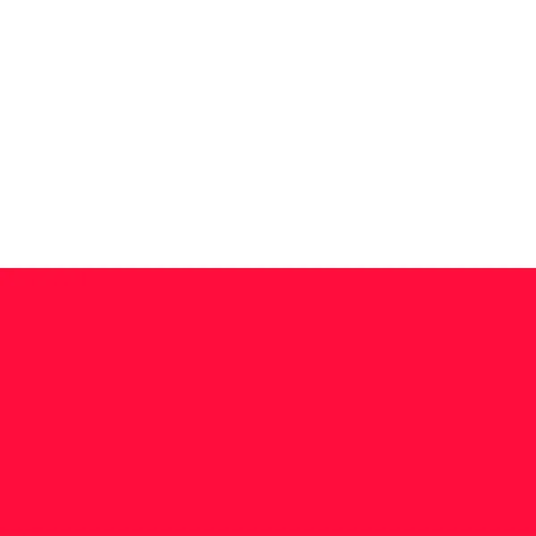 Poland Flag Official Colors Vector Illustration —  Vetores de Stock