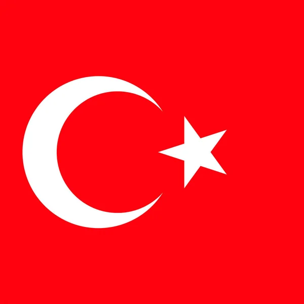 Turkey Flag Official Colors Vector Illustration — Vector de stock