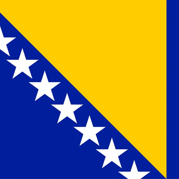 Bandiera Bosnia Erzegovina Colori Ufficiali Illustrazione Vettoriale — Vettoriale Stock