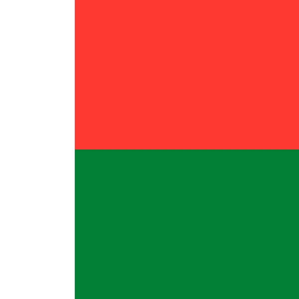 Madagascar Flag Official Colors Vector Illustration — Stockvektor