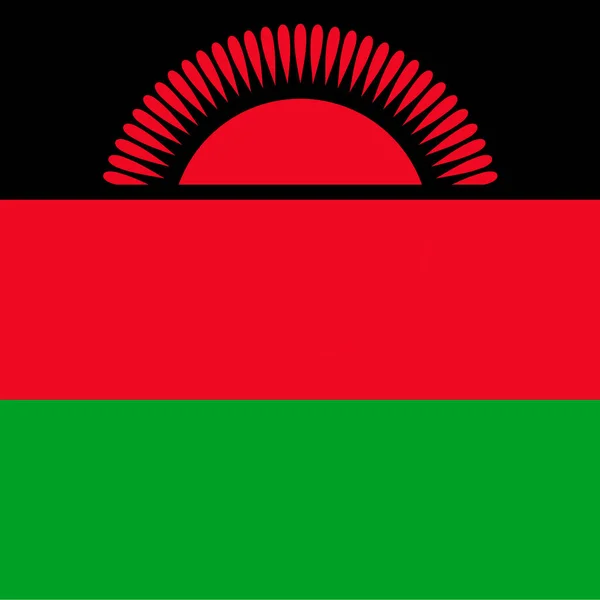 Flaga Malawi Oficjalne Kolory Ilustracja Wektora — Wektor stockowy