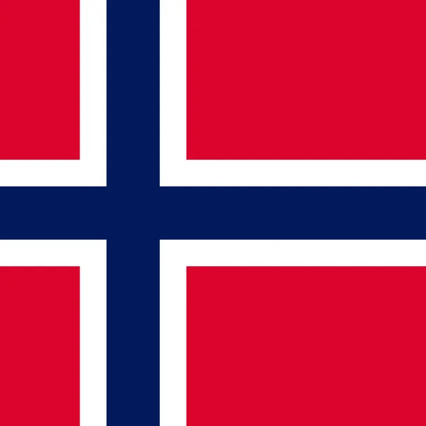 Bandera Noruega Colores Oficiales Ilustración Vectorial — Archivo Imágenes Vectoriales