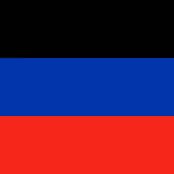 Donetsk Republic Flag Official Colors Vector Illustration — Vettoriale Stock