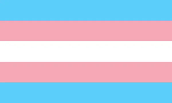 Bandeira Orgulho Transgênero Ilustração Vetorial — Vetor de Stock