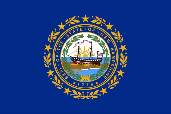 New Hampshire State Flag Vector Illustration — Archivo Imágenes Vectoriales