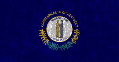 Kentucky state grunge flag. Vector illustration.