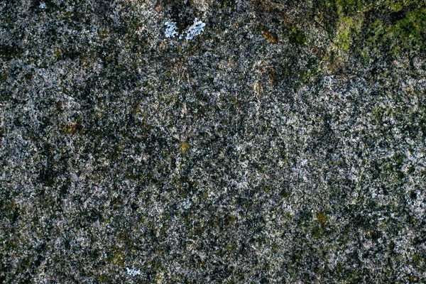 Fundo Textura Rocha Granito Cinza Cru Fragmento Parede Pedra Natural — Fotografia de Stock