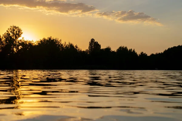 Atmospheric sunset behind trees and reflection in water.