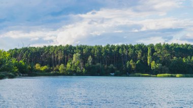 Panorama of Zhytomyr, a forest with a river against the backdrop of residential buildings in the distance.
