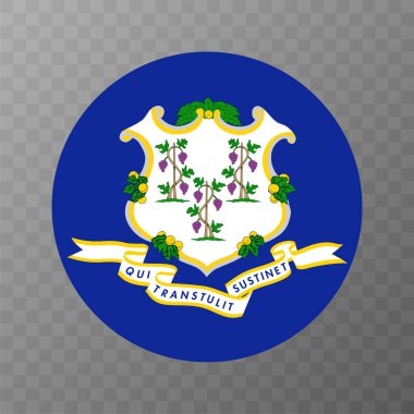 Connecticut state flag. Vector illustration.