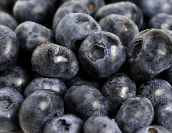 Sweet details of blueberry — Stock Photo, Image