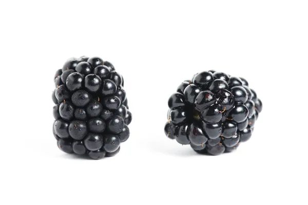 tatlı blackberry beyaz zemin üzerine izole