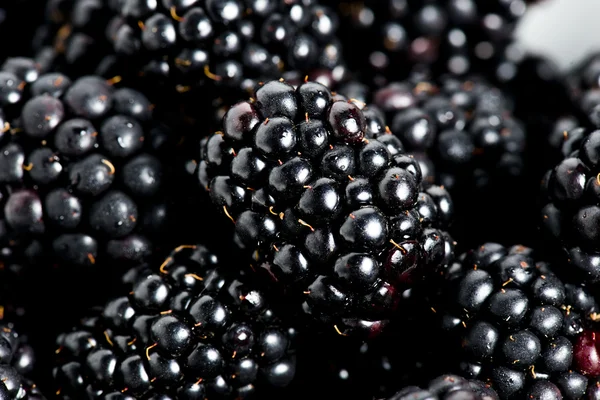 Sweet details of blackberry — Stock Photo, Image