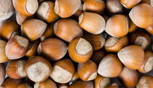 Čerstvě ostříhané lískové ořechy jako potraviny pozadí — Stock fotografie
